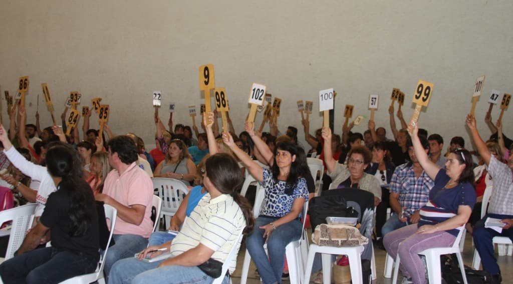 Foto 1 de la galería