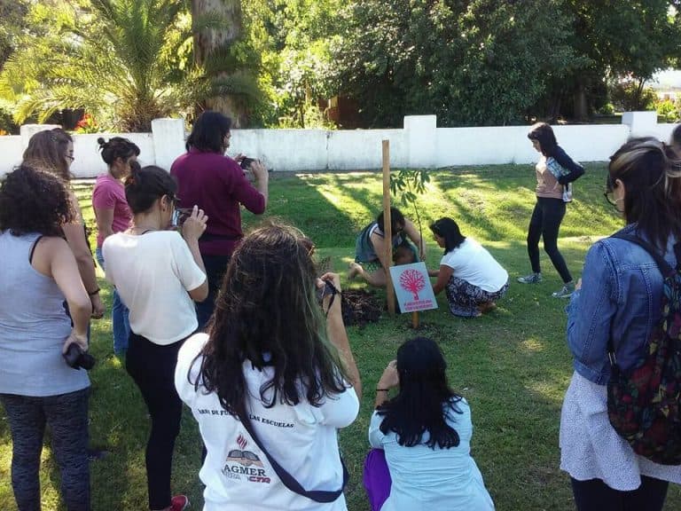 Foto 1 de la galería