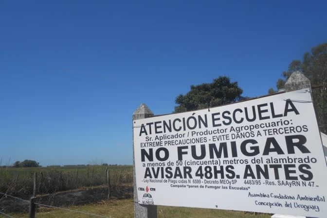 Juicio por la Escuela Fumigada: El Tribunal decidió la condena de los 3 acusados