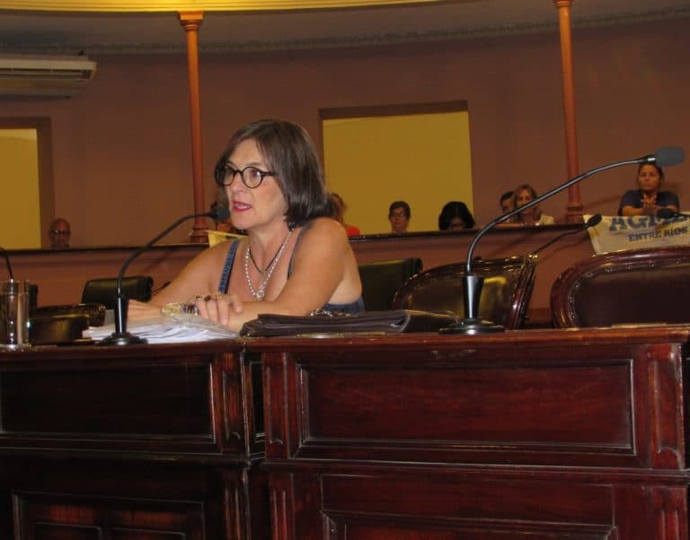 Audiencia pública: Perla Florentín expuso proyectos y políticas con la mirada de los trabajadores