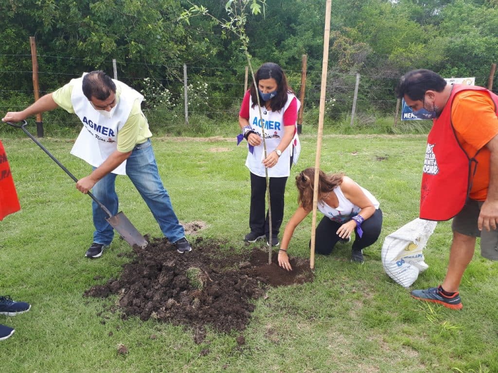 Foto 1 de la galería