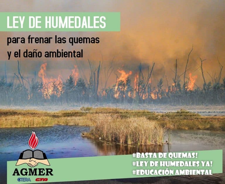 Ley de humedales para frenar las quemas y el daño ambiental