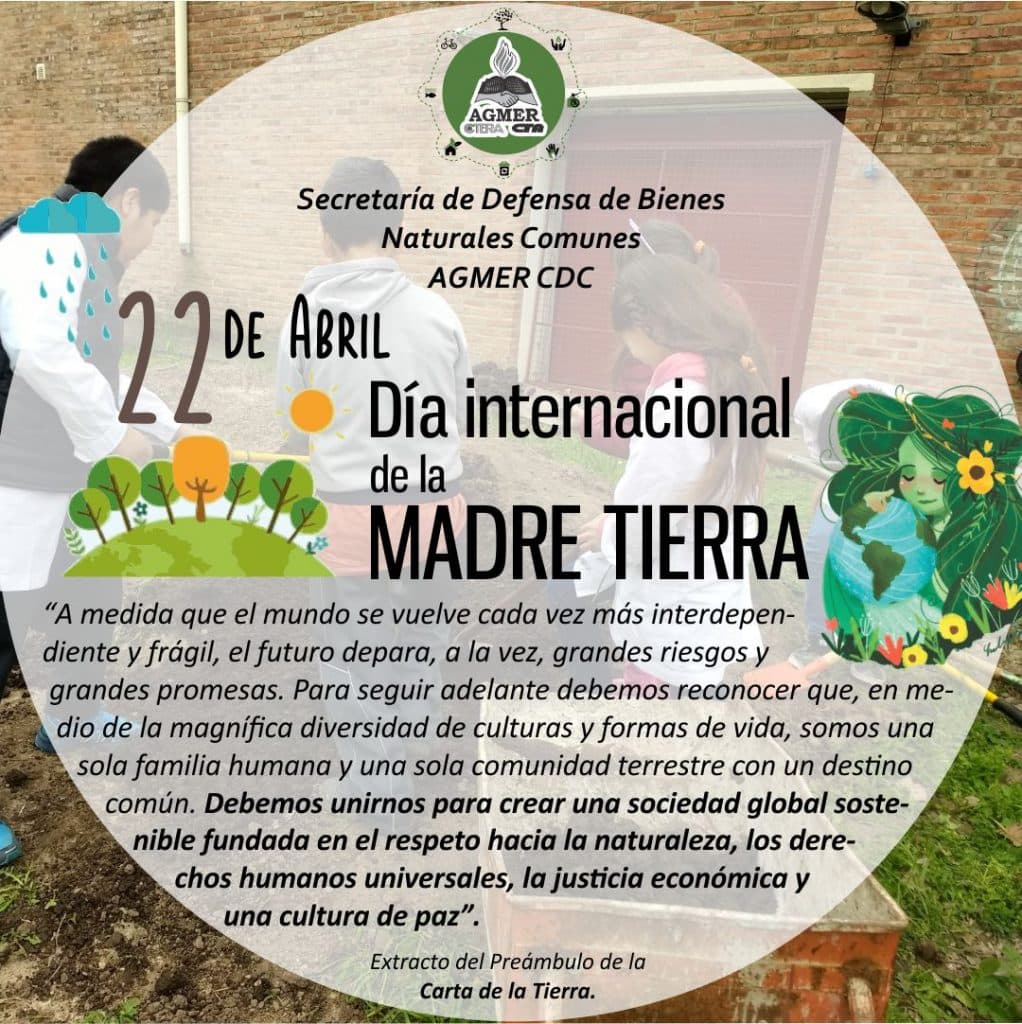 Foto 1 de la galería