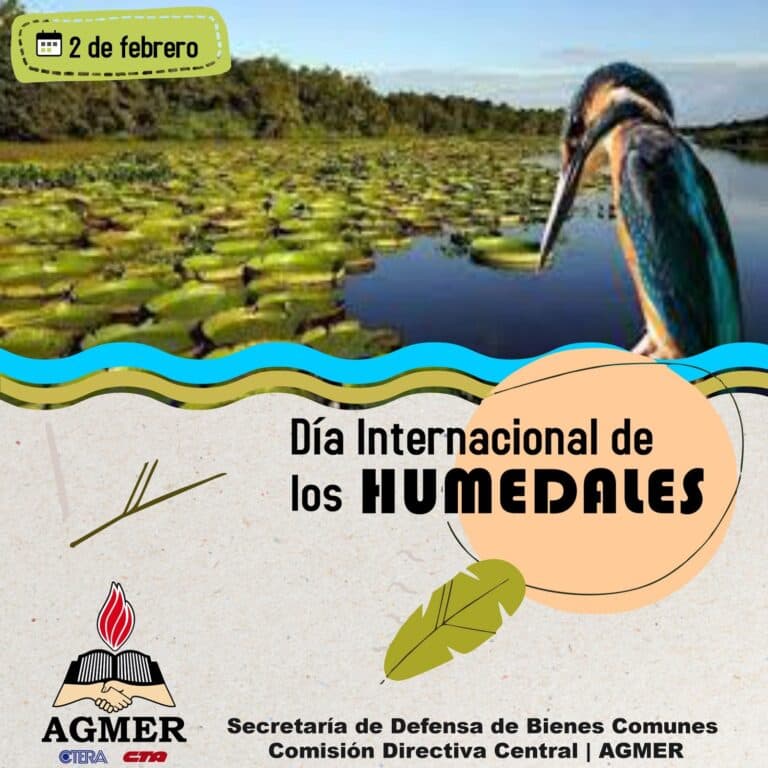 2 de febrero: se celebra el Día Mundial de los Humedales