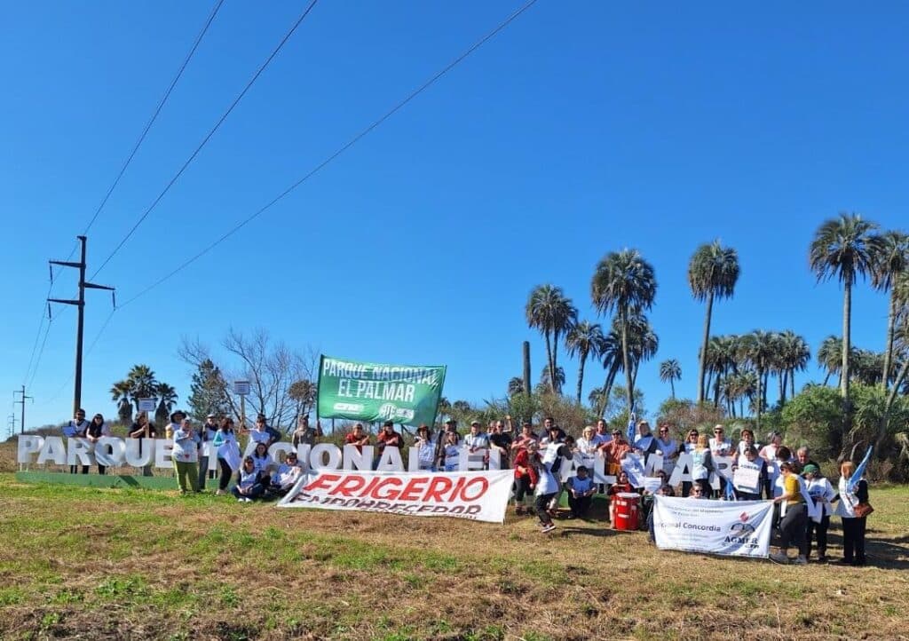 Foto 1 de la galería