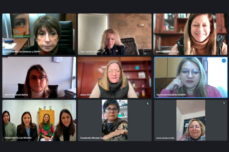 Ley Micaela: Sesionó el Observatorio de Seguimiento